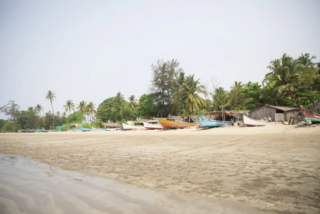 Отель Devarya Wellness Beach Resort — фото 1