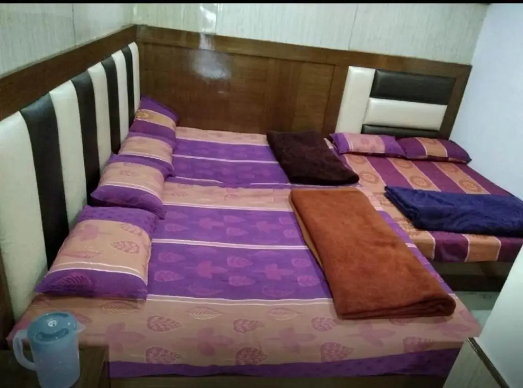 Нью-Дели: Hotel Silver Palace - Hostel