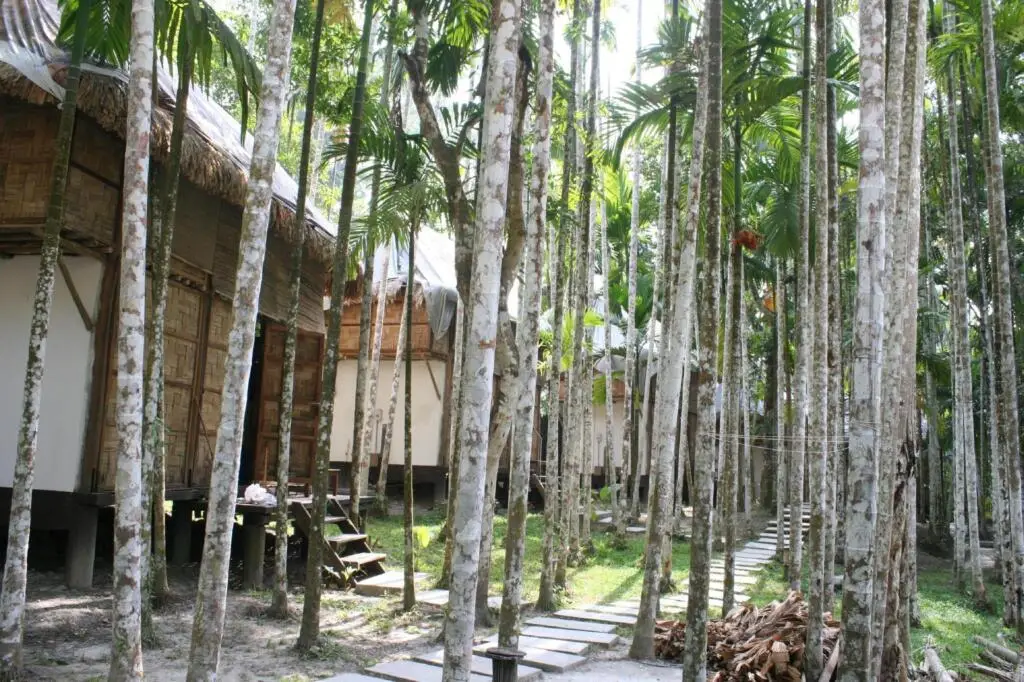 The Flying Elephant Resort-Havelock Island — фото 1