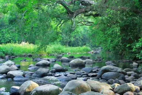 Бандипур: Tiger Tracks Holiday Resort – Mudumalai
