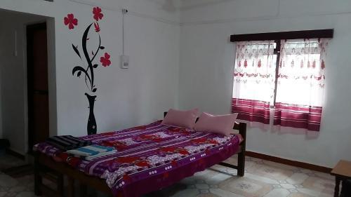 Южный Гоа: Afonso Guest House Agonda