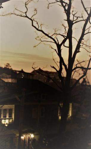Prakash Cottage Shimla — фото 1