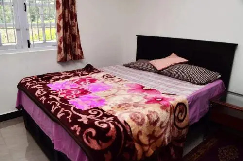 Кунур: Tea leaf home stay