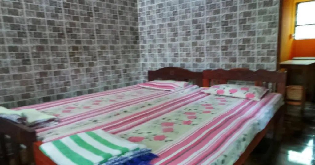 Южный Гоа: Selfia Guest House