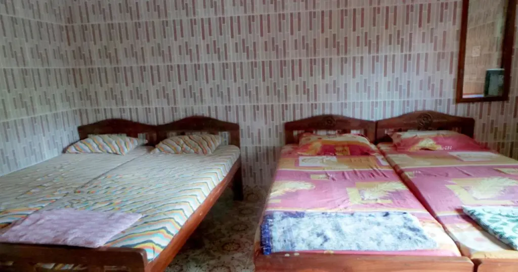 Южный Гоа: Selfia Guest House
