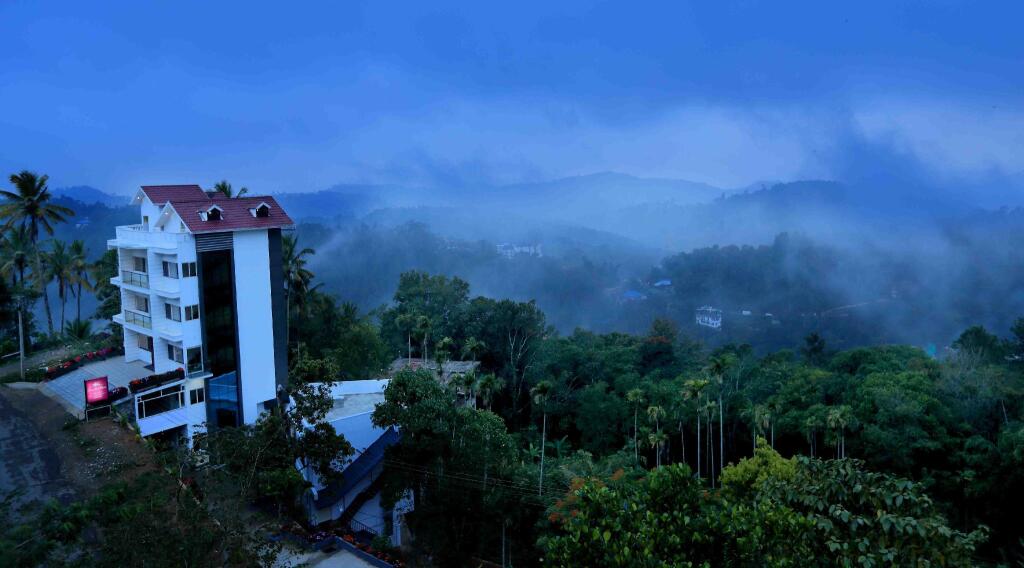 Snow Line Resort,Munnar — фото 1