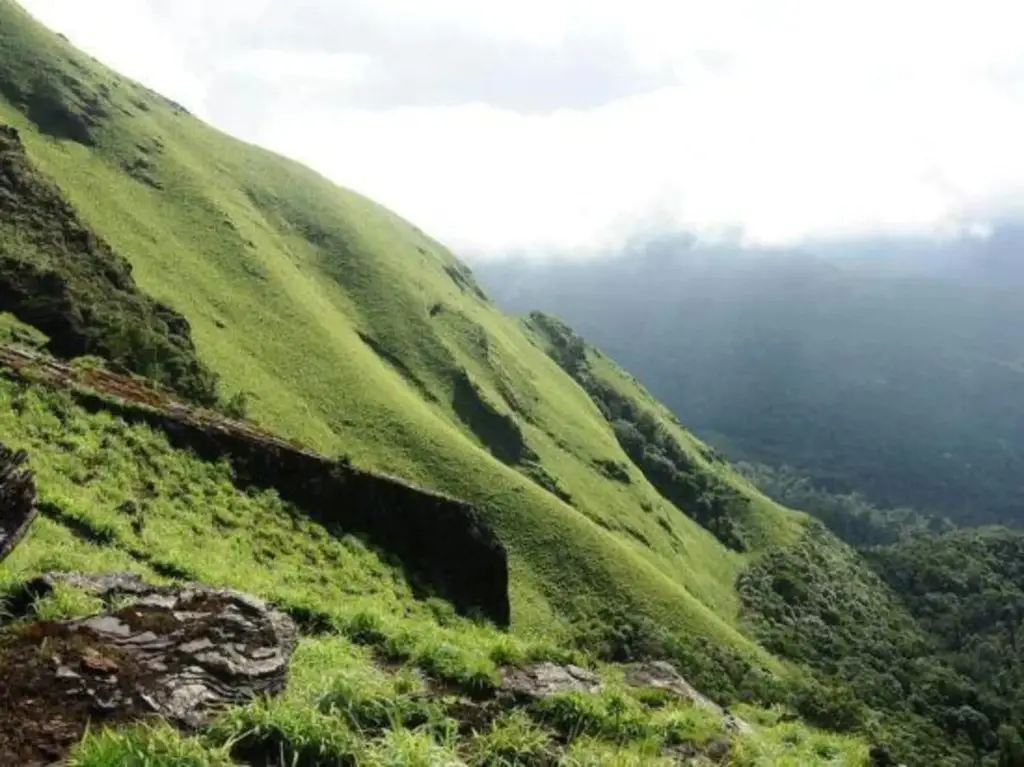 Trupthi Guesthome — фото 1