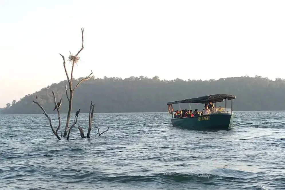 Шиккамагалуру: River Tern Lodge
