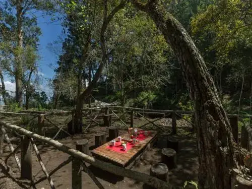 Кодайканал: SaffronStays Kurinji Estate