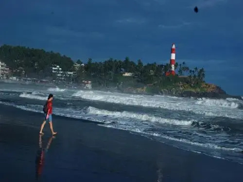 Ковалам: Sea Flower Beach Resort