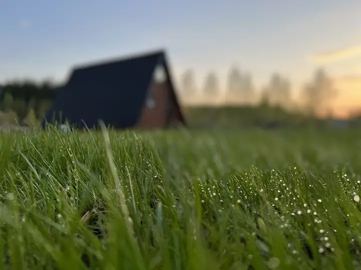 Павловский Посад: Бунгало Green Corner