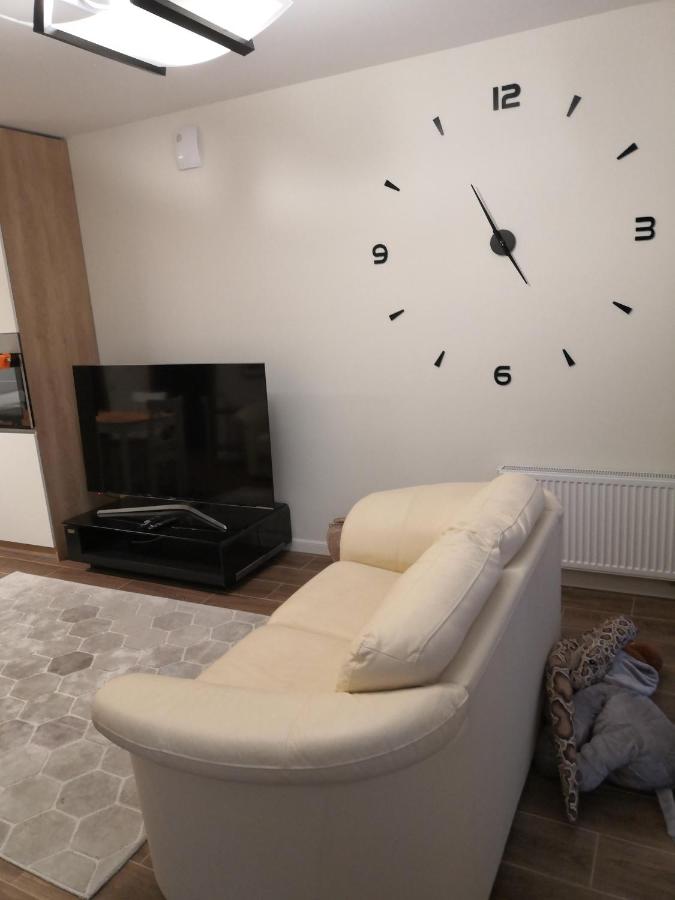 Светлогорск: Orange Apartment