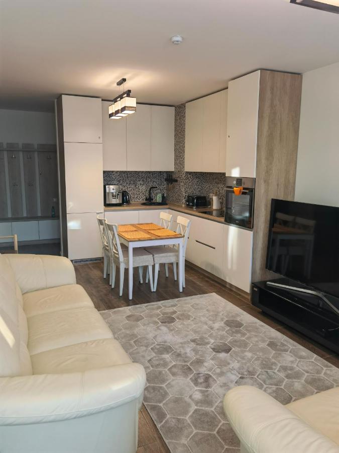 Светлогорск: Orange Apartment