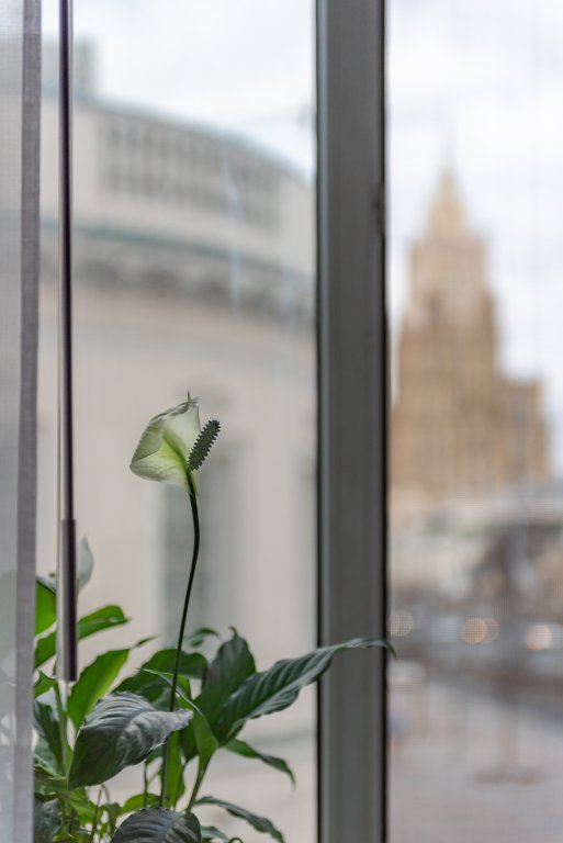 Москва: Апартаменты FLAT INN