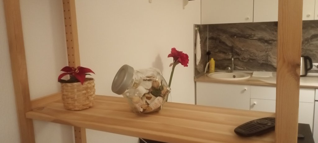 Санкт-Петербург: Апартаменты Flower House