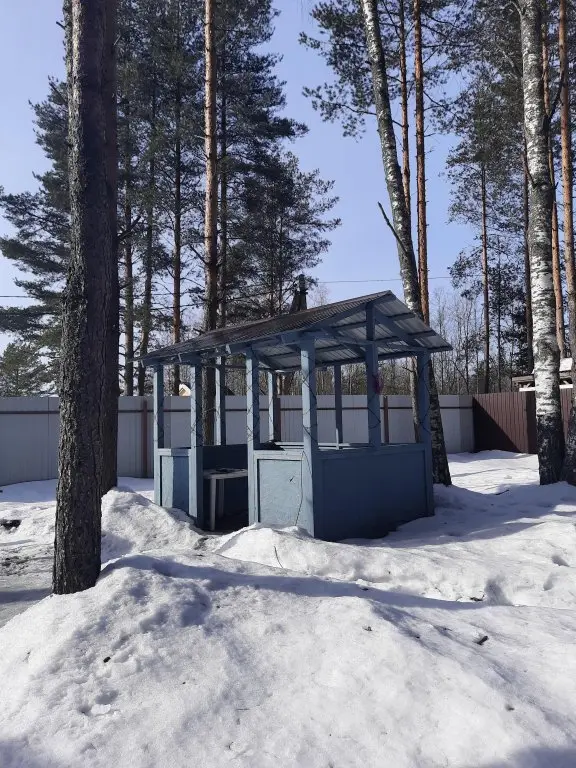 Сосново: Гостевой дом СОСНОВО