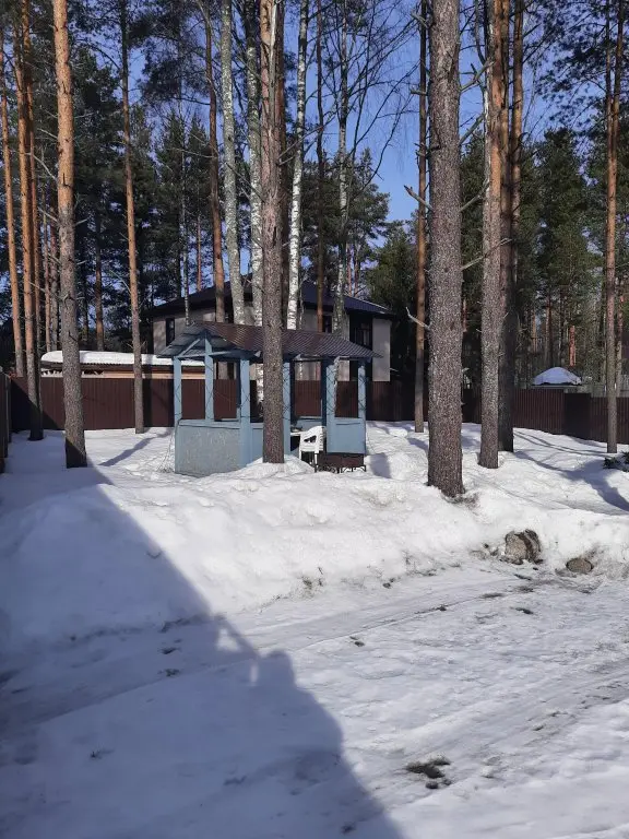 Сосново: Гостевой дом СОСНОВО