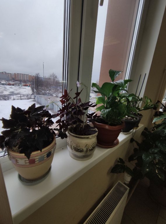 Москва: Хостел ЭКООТЕЛЬ
