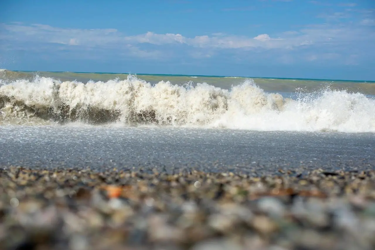 Лазаревское: Tavush Sochi
