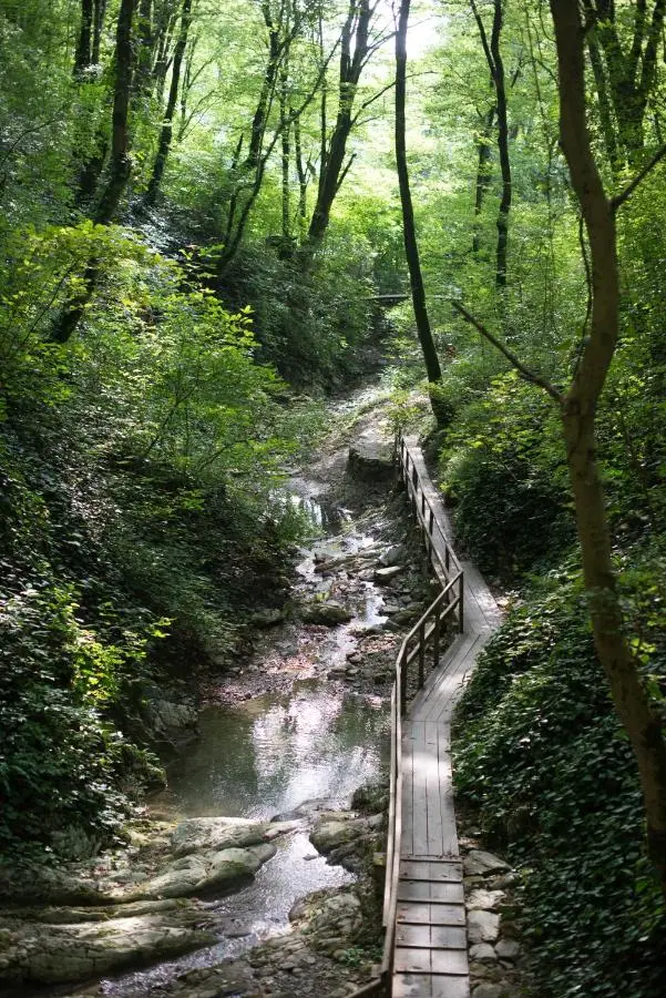 Лазаревское: Tavush Sochi