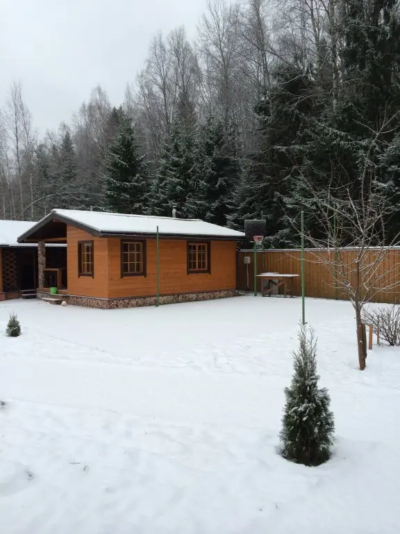 Рощино: Гостевой Дом Kottedg Lebed