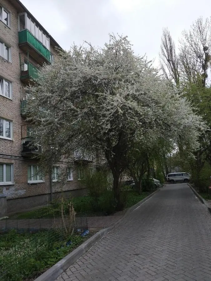 Калининград: У зоопарка