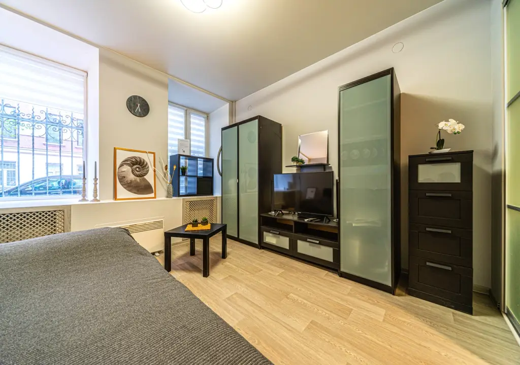 Санкт-Петербург: Апартаменты Loft Petrograd 3