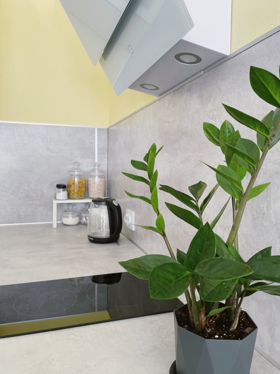 Санкт-Петербург: Квартира Merino Home Лето