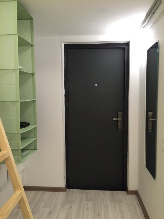 Санкт-Петербург: Mikro Studiya Na 12-J Linii Vo Apartments