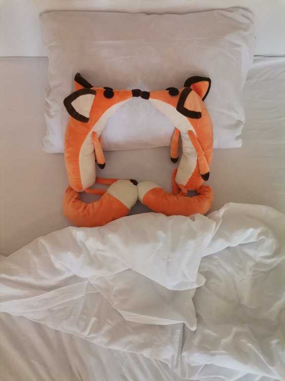 Калининград: Апартаменты FoxyFlat у Зоопарка