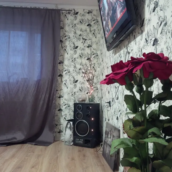 Калининград: Na Borzova Apartments