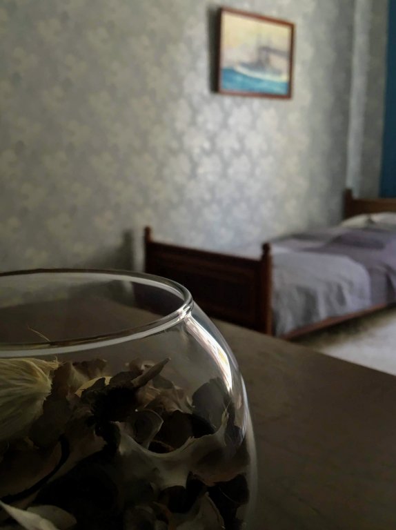 Санкт-Петербург: Na Izhorskoj Apartments