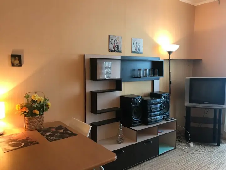 Санкт-Петербург: Na Kompozitorov 18 1 Apartments