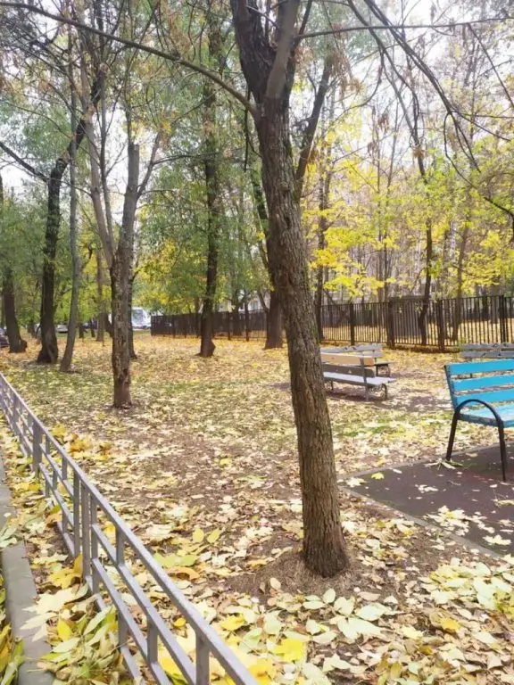 Квартира Однокомнатная ЛайлаТов на метро Пражская рядом с ТЦ Коламбус — фото 1