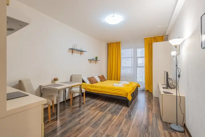 Санкт-Петербург: Студия Natalie Apartments Пулковское шоссе 14 Д (14)