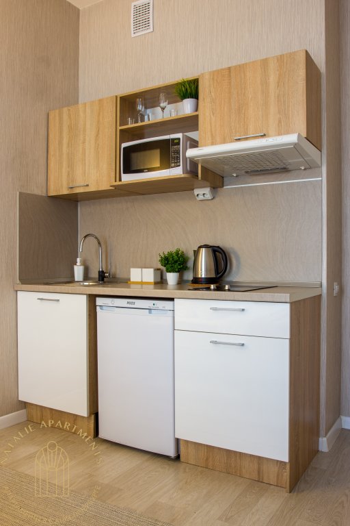 Санкт-Петербург: Апартаменты Студия Natalie Apartments Пулковское шоссе 14с6 №4