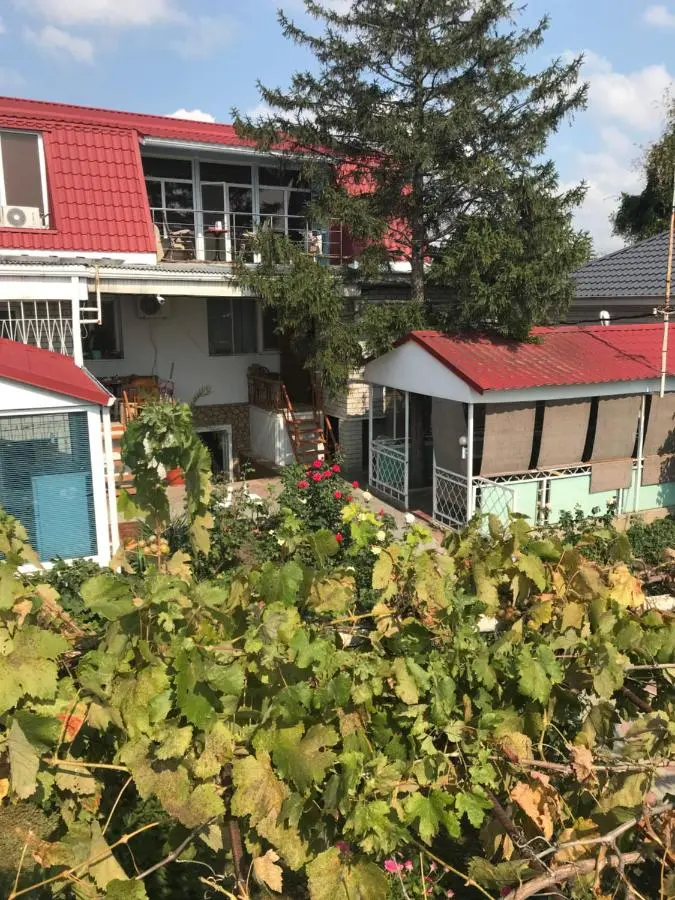 Витязево: Guest House Zdorovie