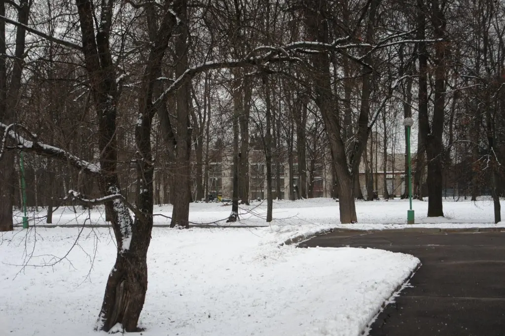 Красногорск: Otradnoe MEDSI