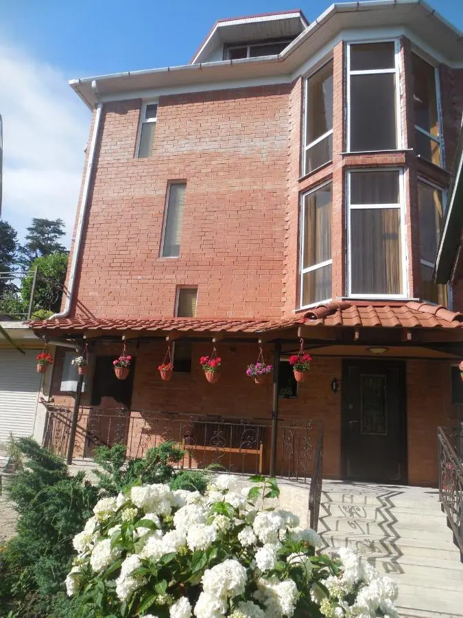 Сочи: Guest House on Proxladniy