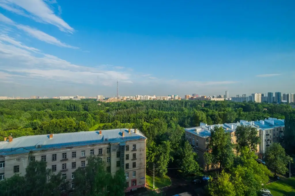 Москва: Апартаменты с видом на Останкино Wood&black