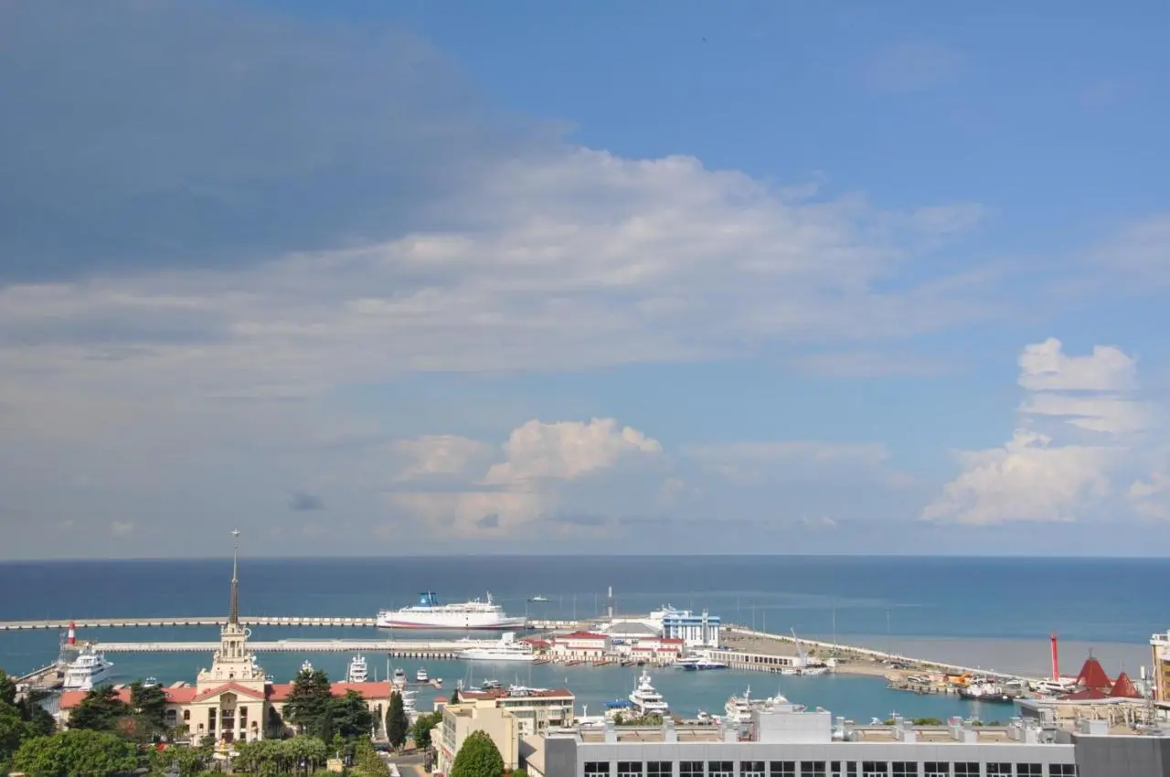 Сочи: Deluxe Apartment Panorama