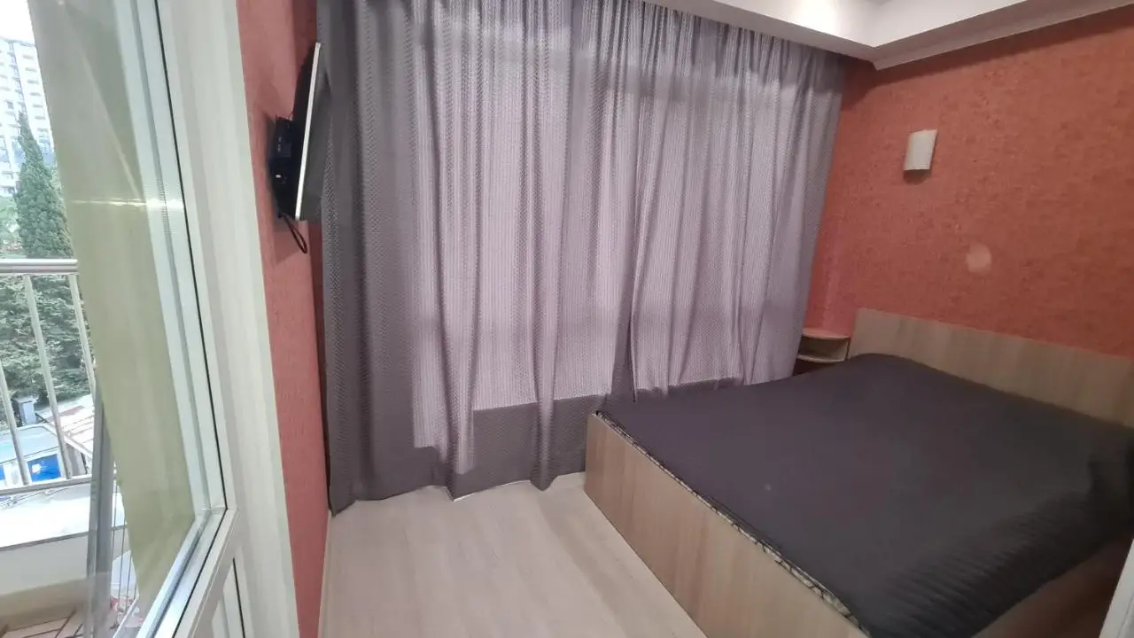 Сочи: Apartment Gorkogo