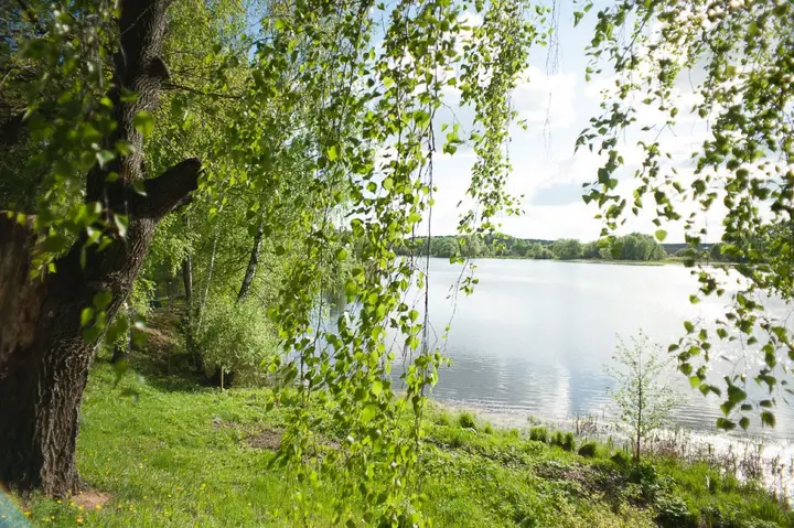 Озеры: Tihij Bereg Guest house