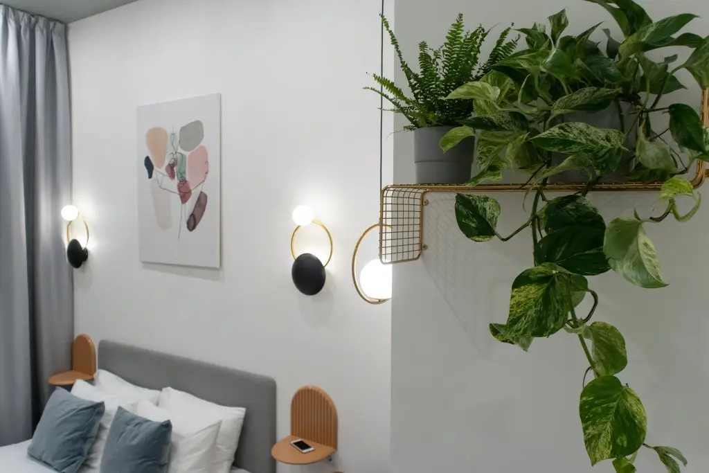 Санкт-Петербург: Меблированные Комнаты Time Verde