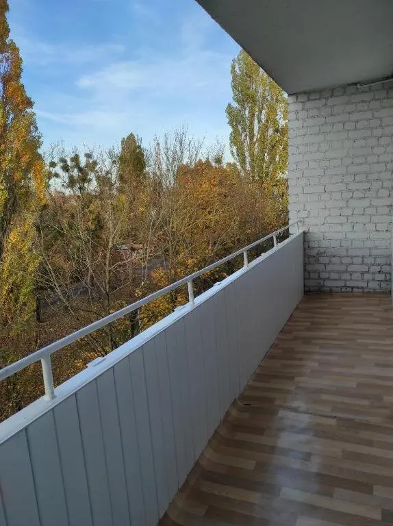 Калининград: Квартира TreshkaCentre