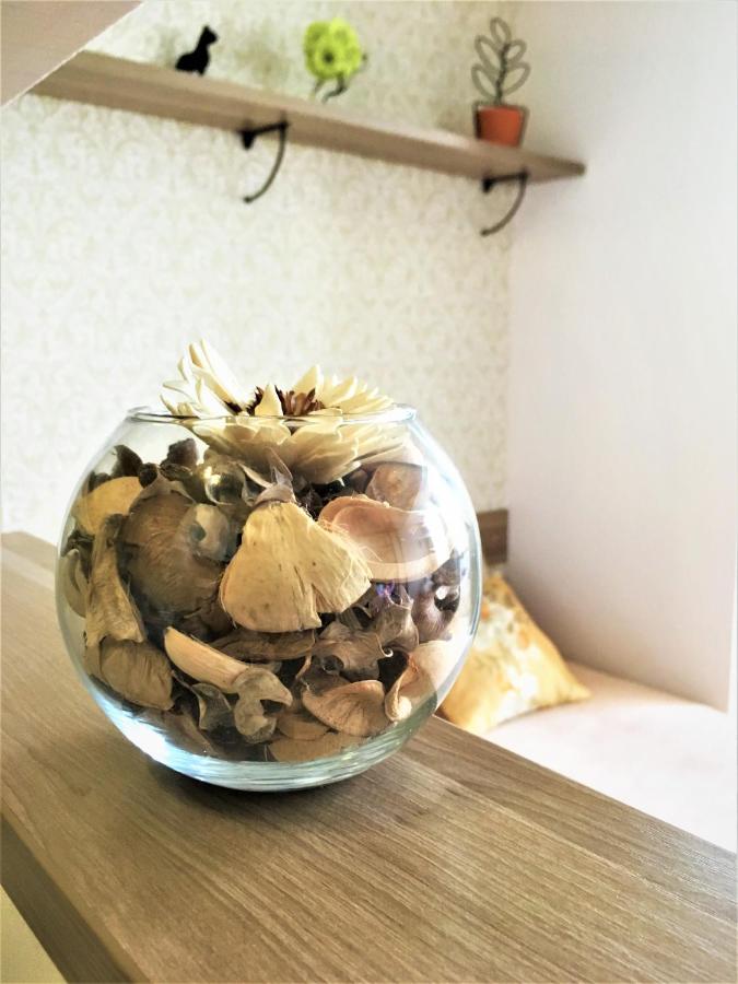 Адлер: Apartment Nika
