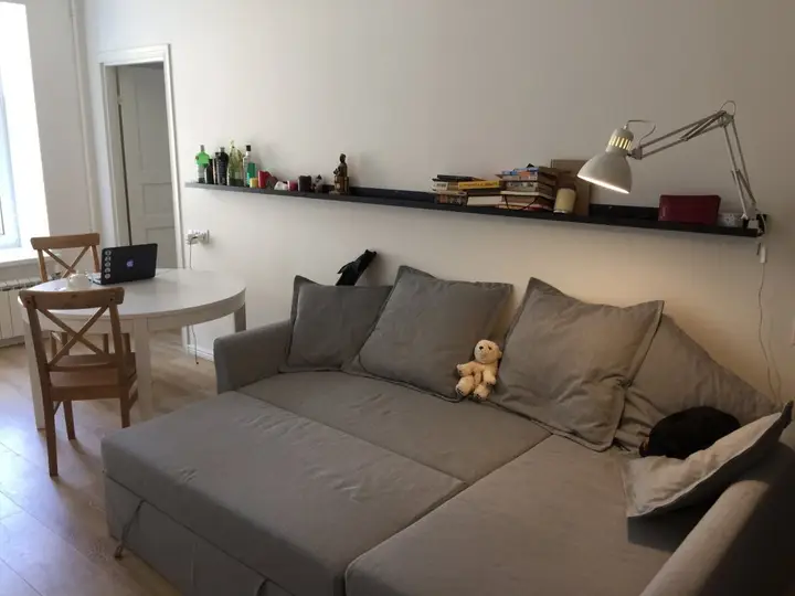 Санкт-Петербург: V Tsentre Petrogradskogo Rajona Apartments