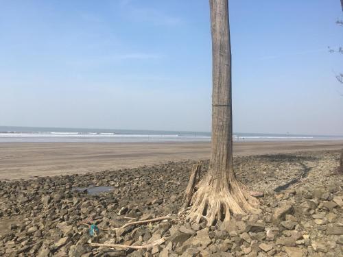 Киим: Kapil's Beach Resort