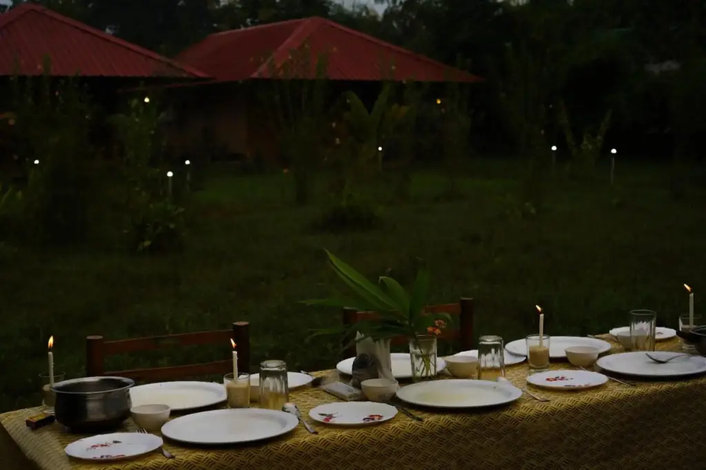 Бхамдели: Tadoba Safari Stay Nature's Sprout