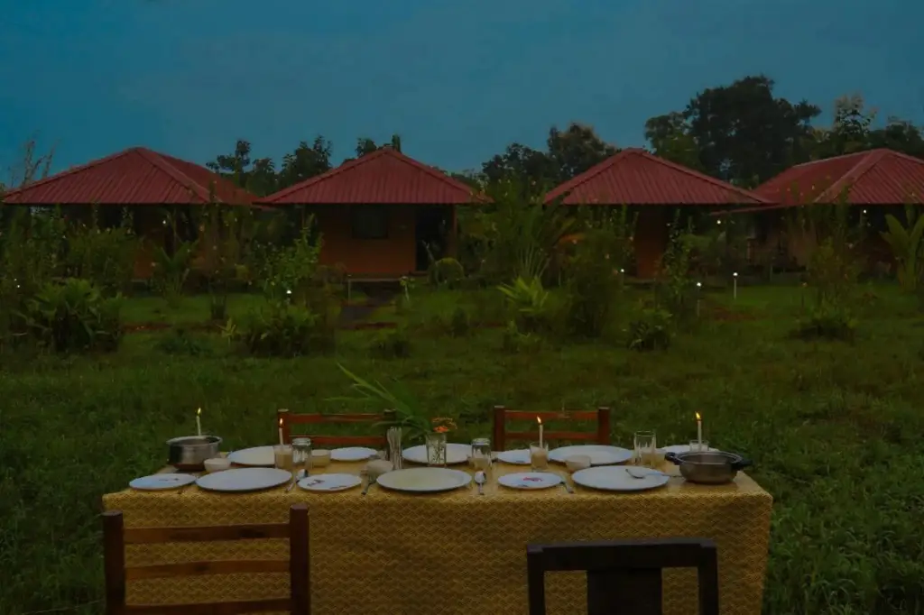 Tadoba Safari Stay Nature's Sprout — фото 1